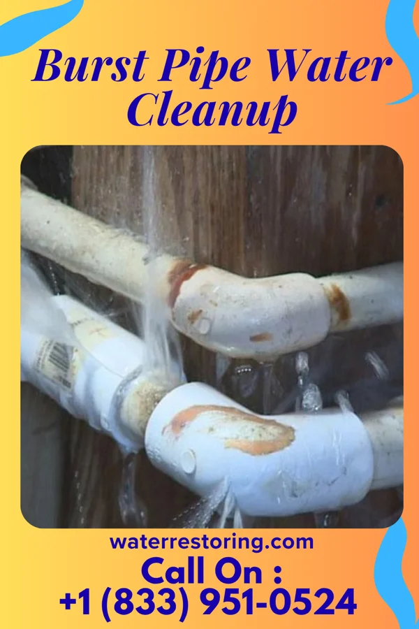 Burst Pipe Water Cleanup in Parma, MO