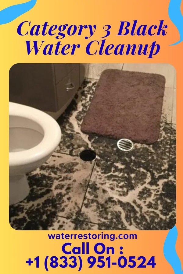 Category 3 Black Water Cleanup in Parma, MO